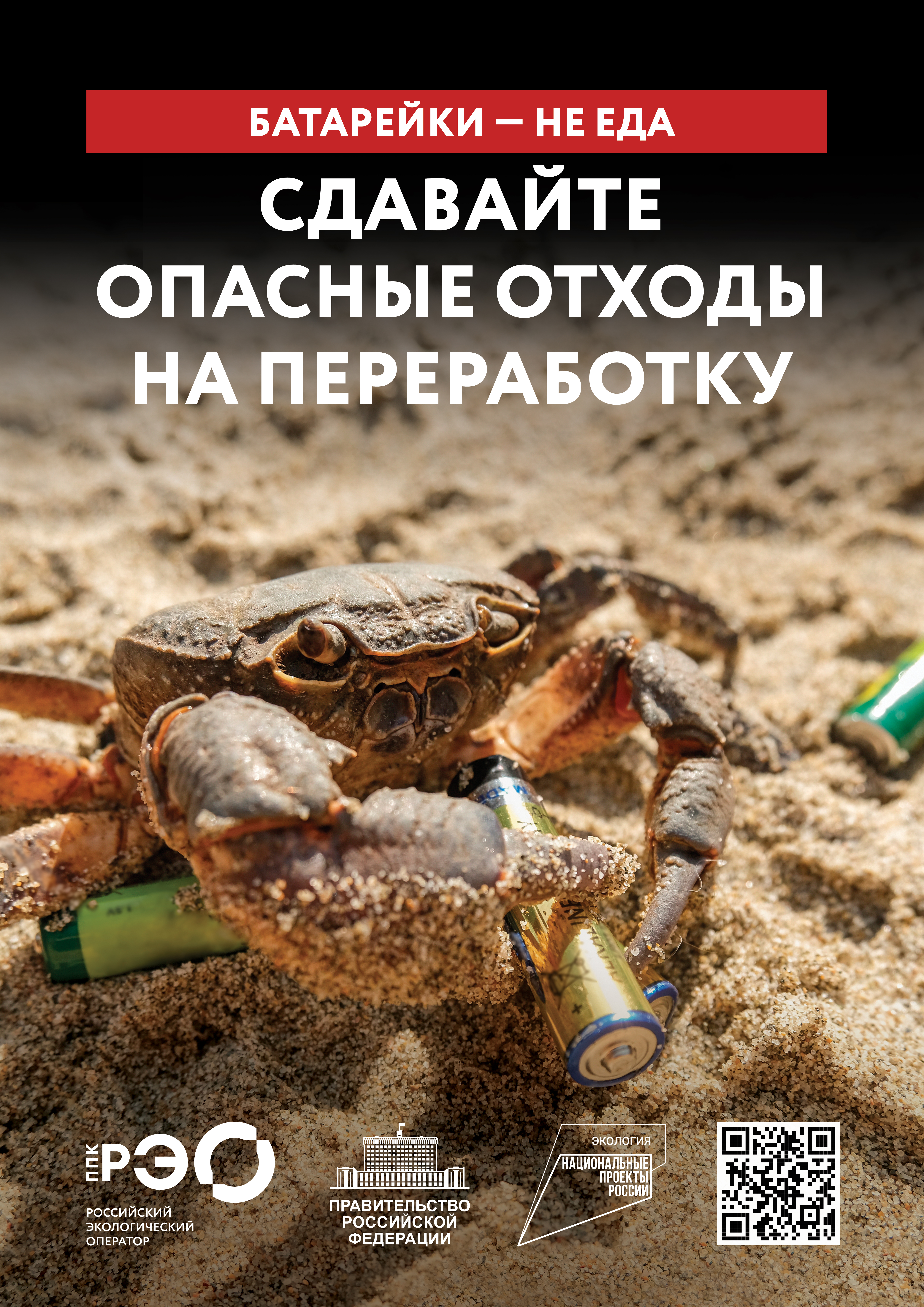 Seria 9 animal poster _A2_6.jpg